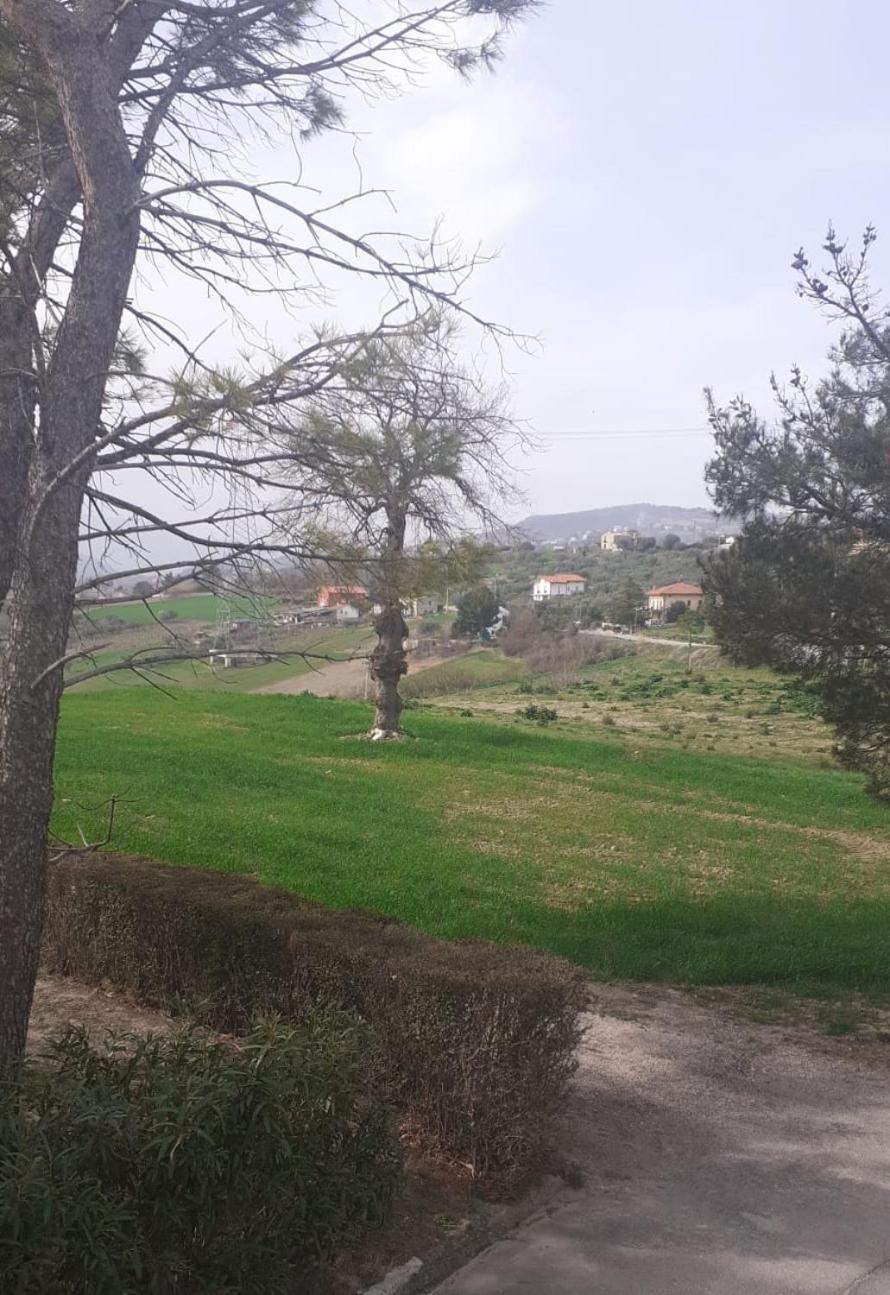 La Casetta Dei Sogni Casalanguida Esterno foto